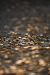 Texture of gold coins on a grey stone. Finance, economy, money of tourists from different countries