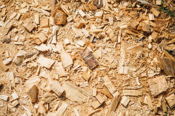 Texture sand-colored sawdust. Natural natural background, wood litter at the sawmill