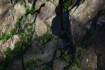 Natural stone texture with moss and shadow pattern. Rock covered with moss and grass, gray stone and green moss with highlights
