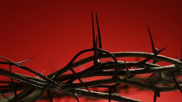 crown of thorns spins on a red background close-up