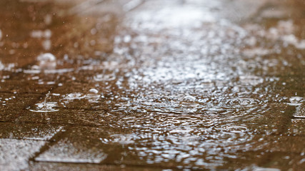 Rain water ripples and circles on paving