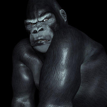 Gorilla vor schwarzem Hintergrund