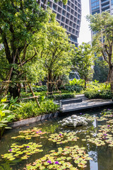 Pond and garden surrounded by high buildings