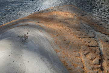 The river bank with pine leaves
