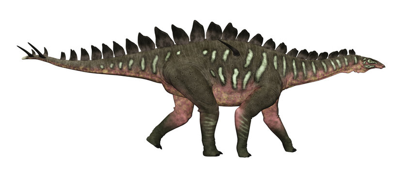 Dinosaurier Miragaia, Freisteller