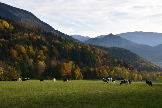 Prairies des Brachons, domin&eacute;es par les montagnes du D&eacute;voluy