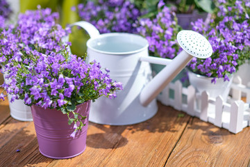 Gardening - Set Of Tools For Gardener And Flowerpots In Sunny Garden