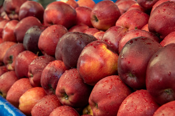 organic red apples in the market