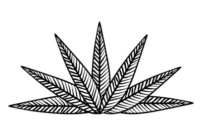 植物のイラスト：葉っぱ、葉脈、原始的なイメージ