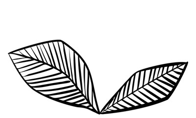 植物のイラスト：葉っぱ、葉脈、原始的なイメージ