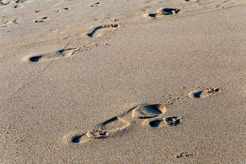 large and small footprints of human feet on the wet sea sand of the beach of the Portuguese city of Sintra
