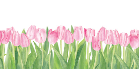 Watercolor Pink Blooming Tulips with Green Leaves Seamless Horizontal Border Isolated on White Background. Banner. Top View. Copy Space for Text. Spring and Summer Theme.
