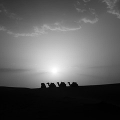 Atardecer en la duna