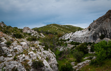 Fototapeta na wymiar Rolling wild countryside in the alpilles, provence ,south of France.