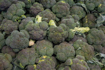 fresh organic broccoli and cauliflower 