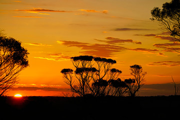 sunset in Australia