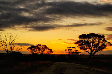 Fototapeta na wymiar sunset in Australian outback
