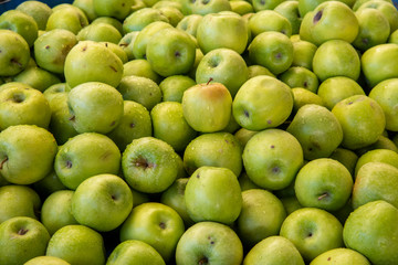 pile of green apples in the market