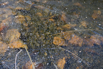 A surface of the frozen lake