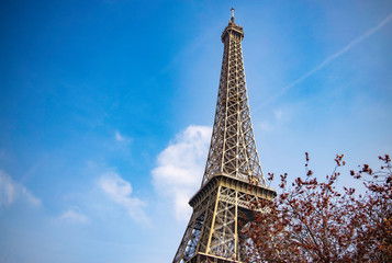 Eiffel tower with blue sky, Paris. France