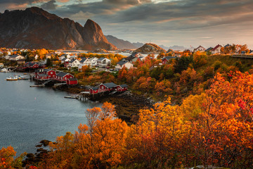 Autumn in Lofoten wiht pretty colours and great light. Norway landscapes with mountains.