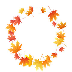 Maple leaves vector background, autumn foliage on white graphic design.
