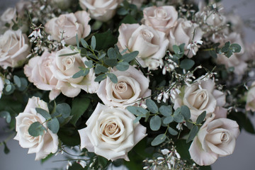 beautiful exclusive roses