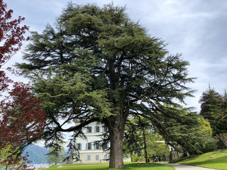 Comer See Park Villa Melzi