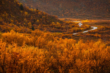 Fototapeta premium Autumn in Lofoten wiht pretty colours and great light. Norway landscapes with mountains.