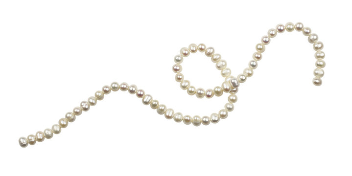 String of freshwater pearls