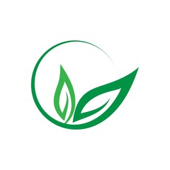 Green leaf logo