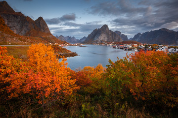 Autumn in Lofoten wiht pretty colours and great light. Norway landscapes with mountains.