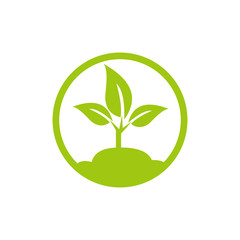 plants growing icon on white background.