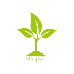 Plant and root icon vector illustration sign