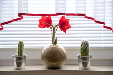 flowers in vase on table
