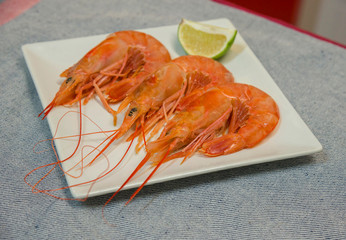 Large shrimp on a plate with a slice of lime