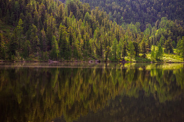 Mountain slope covered with green coniferous forest is reflected in the lake with calm smooth water. Secluded area in the mountains. Natural background.