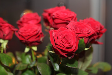 Red roses bouquet in a vase. Red roses are a symbol of love, romance, passion, desire. The Finest Luxury Red Roses for the Perfect Romantic Gift. Perfect for anniversaries, Valentine's Day, birthdays