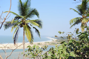 View from hill to the white sand beach against the sea and blue sky on sunny tropical day. A long curved coastline with coconut trees in the foreground.