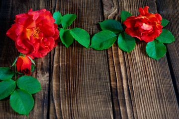 Fototapeta na wymiar beautiful red roses on a wooden background