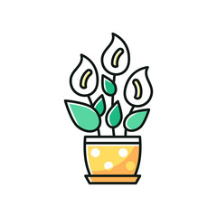Peace lily RGB color icon. Spathiphyllum wallisii. Indoor tropical floweing plant. Graceful closet plant with white flowers. Decorative blooming houseplant. Home decor. Isolated vector illustration