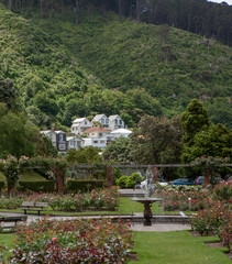 Wellington Botanic garden. 