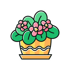 African violet RGB color icon. Blooming Saintpaulia. Indoor plant with pink flowers. Decorative flowering houseplant. Natural home, office decor. Isolated vector illustration