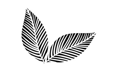 植物のイラスト：葉っぱ、葉脈、原始的なイメージ