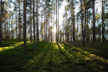 Obraz premium Karelia