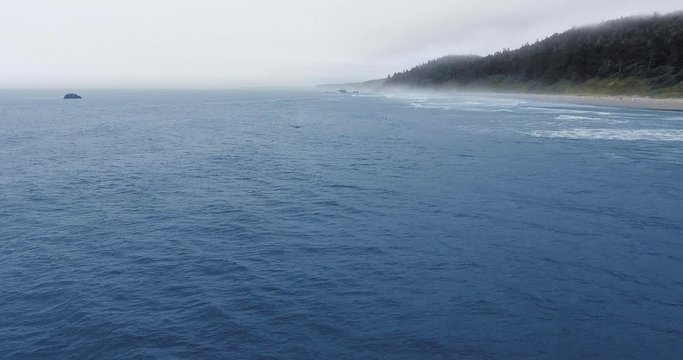 Drone shot of ocean fog and gray whale fountain on the coast (Ruby Beach, Olympic National Park, Washington, USA)