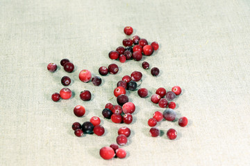 Cranberry on a linen fabric background. Vitamine. Berry.