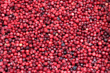Frozen cranberry background. Pattern. Red Berries. Healthy food.
