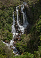 Plakat Waterfall Waipunga New Zealand. Forest