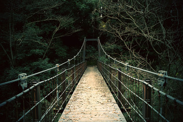 公園の中にある吊り橋